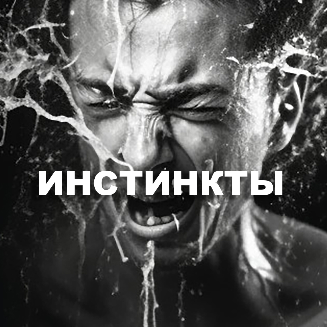 Авторский курс