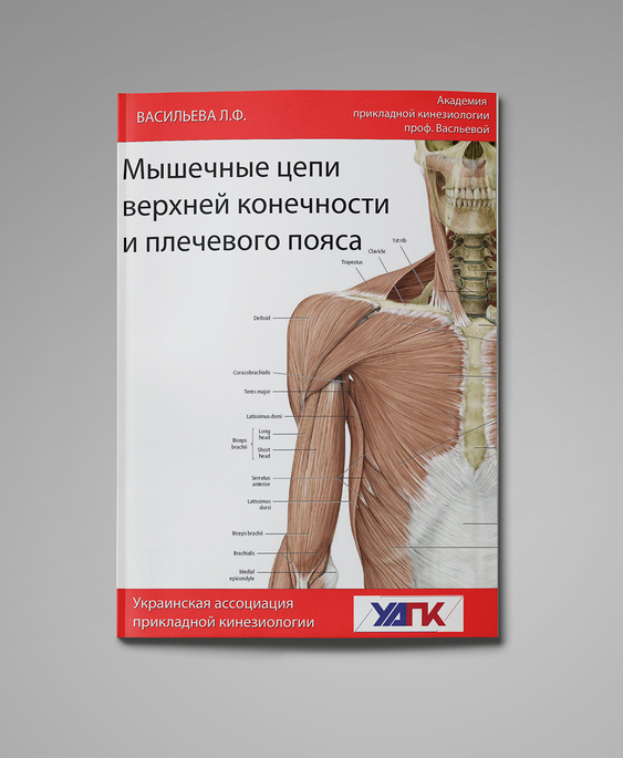 Методичка к семинару "МФЦ верхняя конечностьйта.jpgсти"